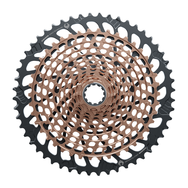 ccoppersides_1200x630.png?v=