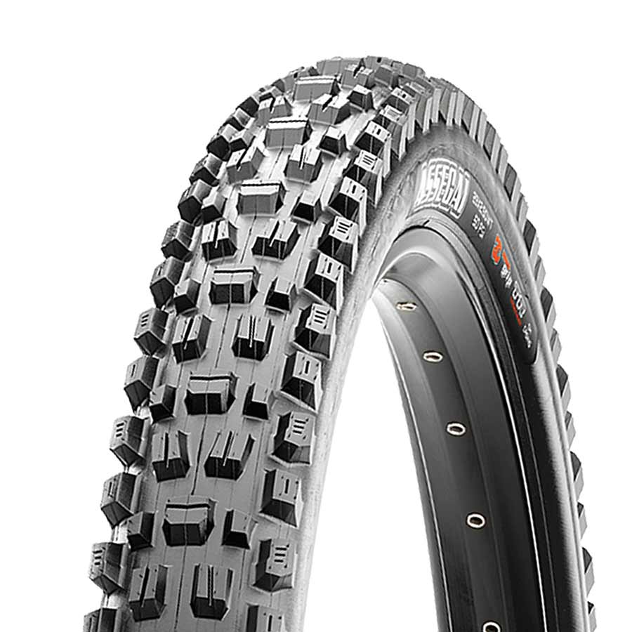 Maxxis Assegai x 3C/TR/WT EXO Mountain Bike Tire – The