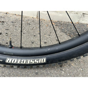 Giant Trance X 29 2 - DEMO, Rear Wheel Scratches Drive Side