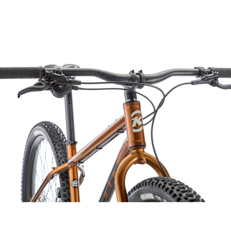 2025 Kona Unit X, gold, head tube view.
