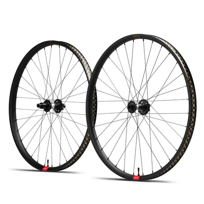 Reserve 30 HD AL 29|DT 350 XD 90T 6b Mountain Bike Wheelset, full view.
