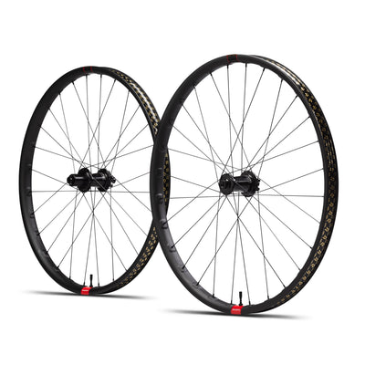 Reserve 30 HD Wheelset, DT 350 hubs, 110/148, XD 90T, full view.