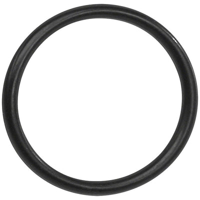Bosch O-Ring - BDU3XX, full view.