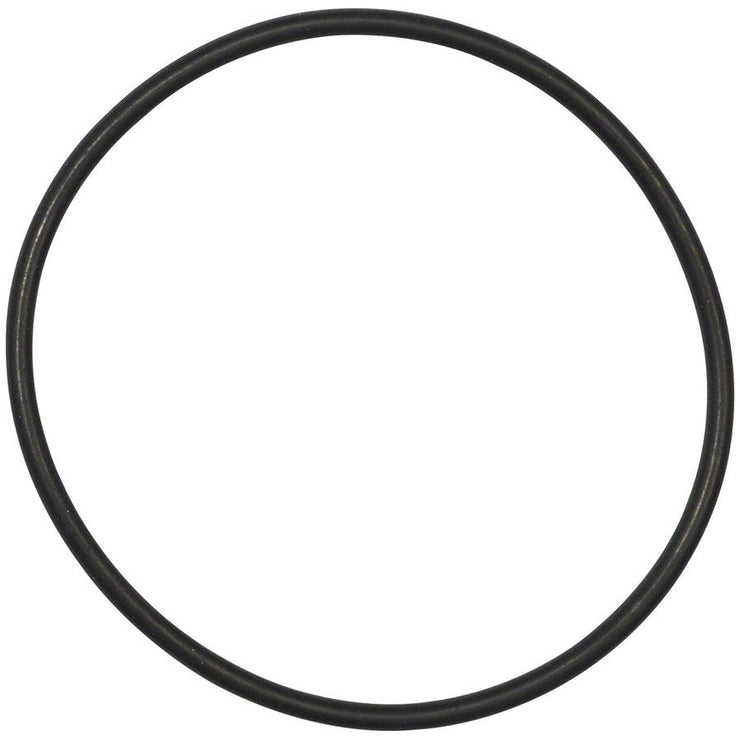 Bosch O-Ring - BDU2XX, full view.