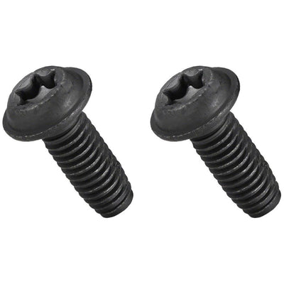 Bosch Mounting Plate Screw Set - 2x screws M6x16 Torx T30, full view.