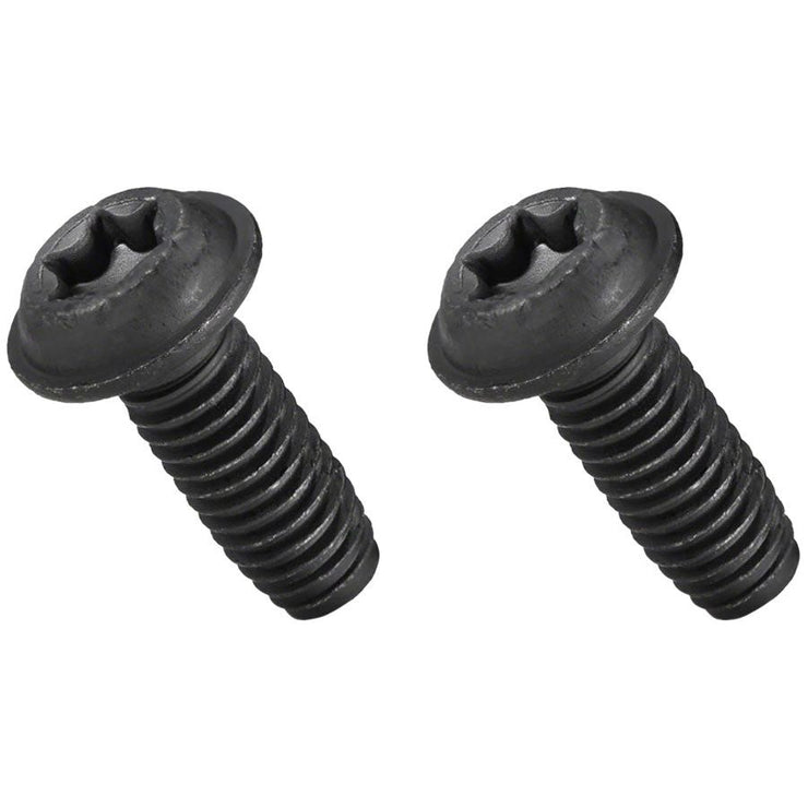 Bosch Mounting Plate Screw Set - 2x screws M6x16 Torx T30, full view.