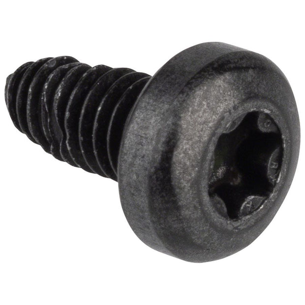 Bosch ConnectModule Screw - 1x M4x12 Torx T20, full view.
