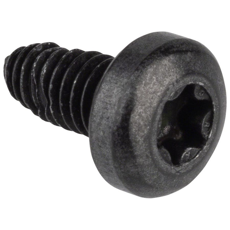 Bosch ConnectModule Screw - 1x M4x12 Torx T20, full view.