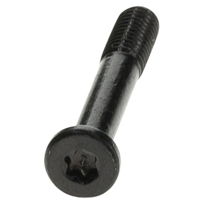 Bosch System Controller Adaptor Mounting Screw, full view.