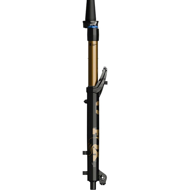 Fox 36 E-Optimized Factory Suspension Fork - 29‚Äù, 160mm, Kabolt-X, 4 ...