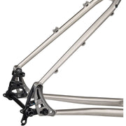 Salsa Fargo Ti Frameset - dropouts view.