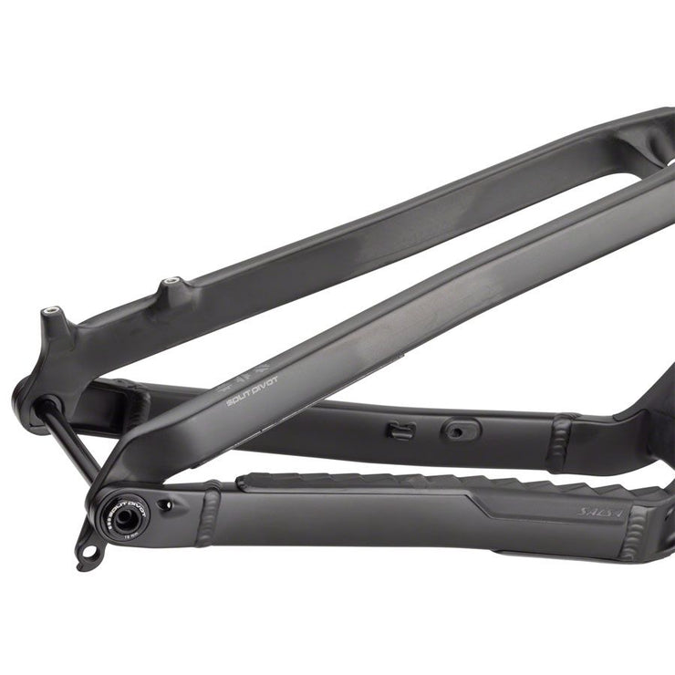 Salsa Blackthorn Carbon Frame - Carbon, Raw, rear triangle view.