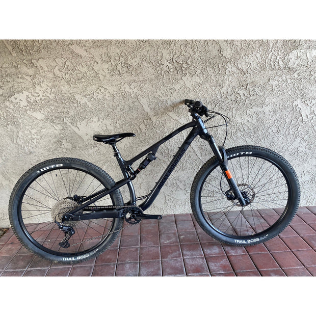 2022 Rocky Mountain Element A10, grey / black, Demo bee with BLEMS, full view.