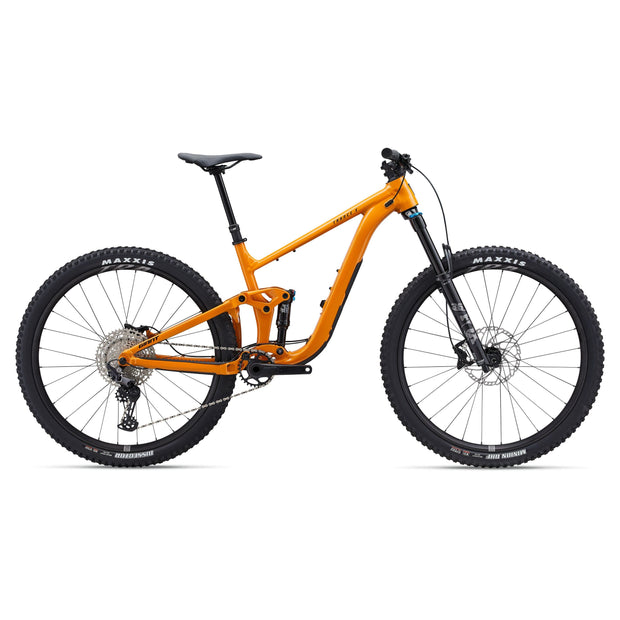 Giant Trance X 2, sandstorm, full view.