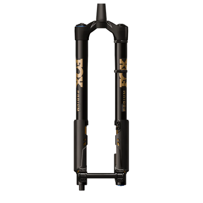 Fox Factory 36 Podium Inverted Fork - 29", 170mm, 20TA x 110mm, 44mm offset, Grip X2, 58HT, Black/Podium Gold