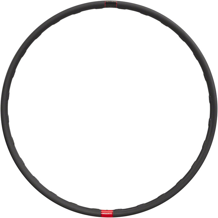 Reserve 30 SL Rim - 29" Disc Carbon 28H, frotn view.
