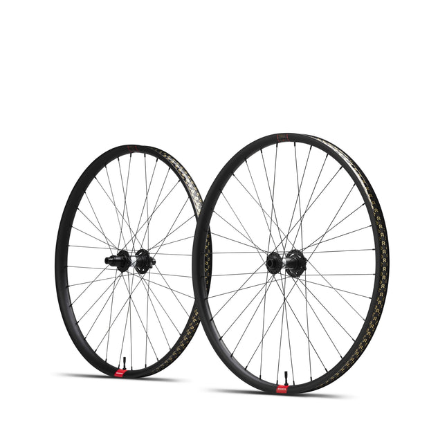 Reserve 30 SL AL 29 DT 350 110XD 6-Bolt Mountain Bike Wheelset, full view.