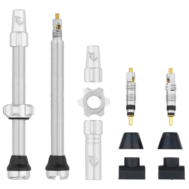 Wolf Tooth Tubeless Valve Stem Kit - 60 mm Silver, full view.