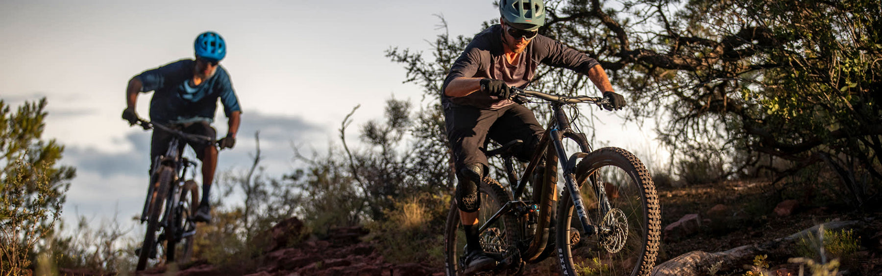 Giant Bicycles The Path Bike Shop