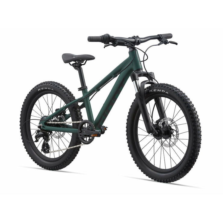 2022 Giant STP 20 FS, Green, Full View