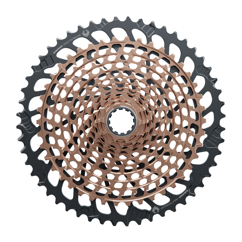 ccoppersides_1024x1024.png?v=