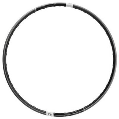 Crankbrothers Synthesis Carbon DH 29" Front Rim Full View