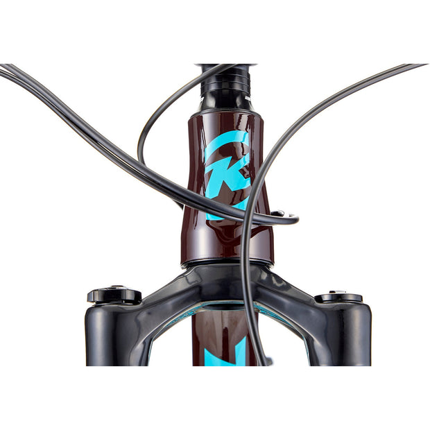 2022 Kona Process 134 29, Gloss Thunder w/ Sandal, head tube view